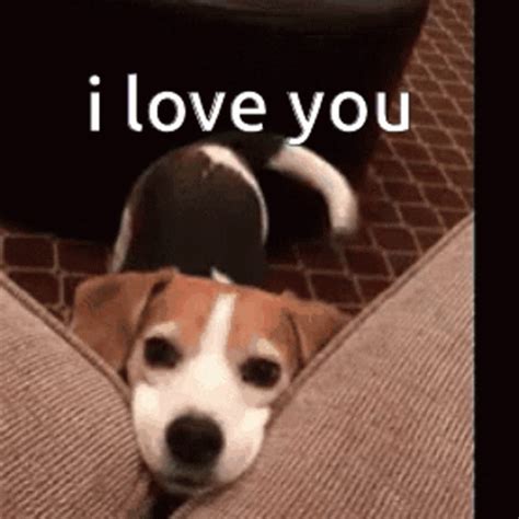 love you so much gif|funny i love you memes.